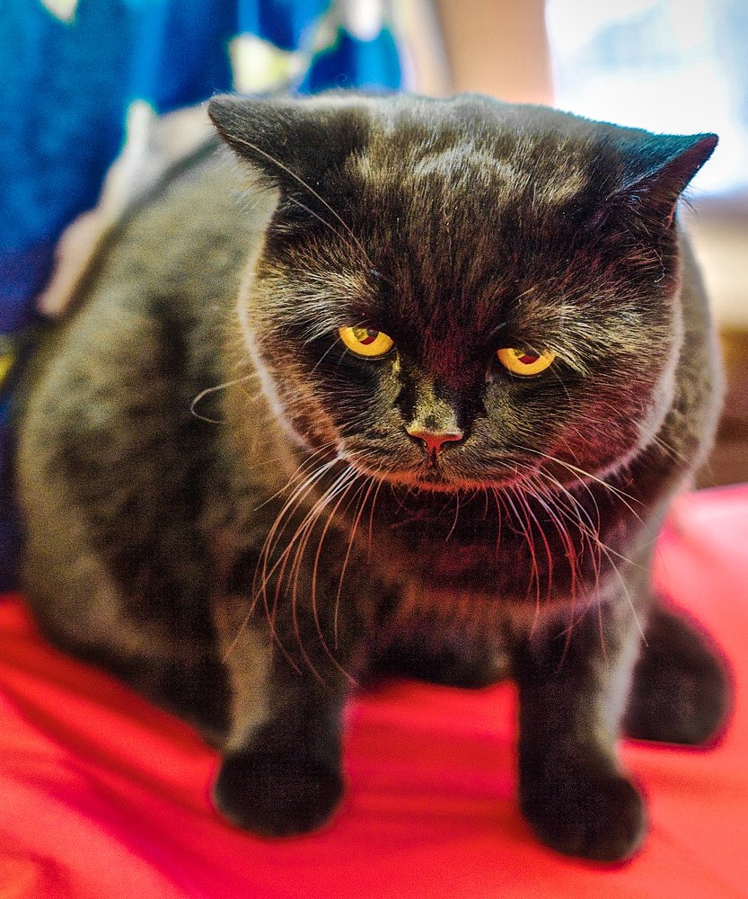 Photograph by Андрей Чернышов