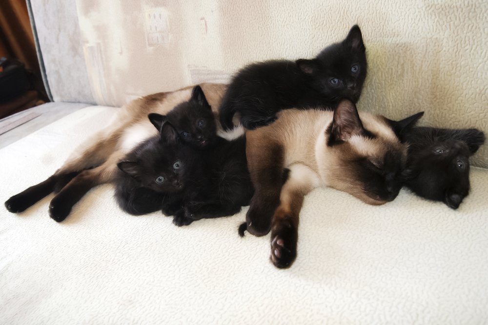 Photo #3607864