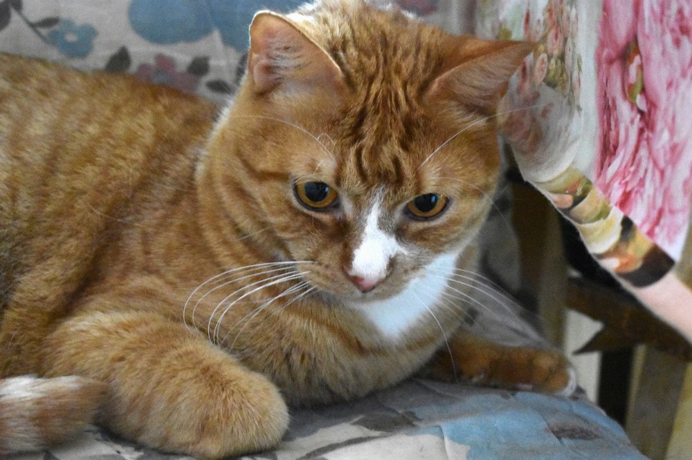 Photograph by Светлана Титова