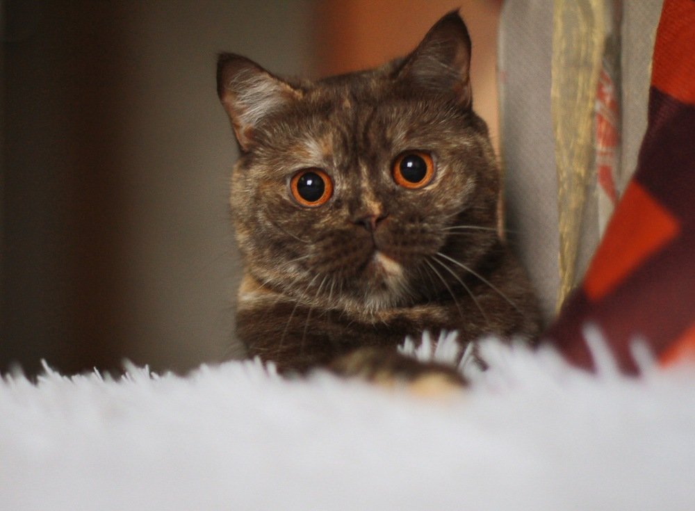 Photograph by Анна Гайнуллина