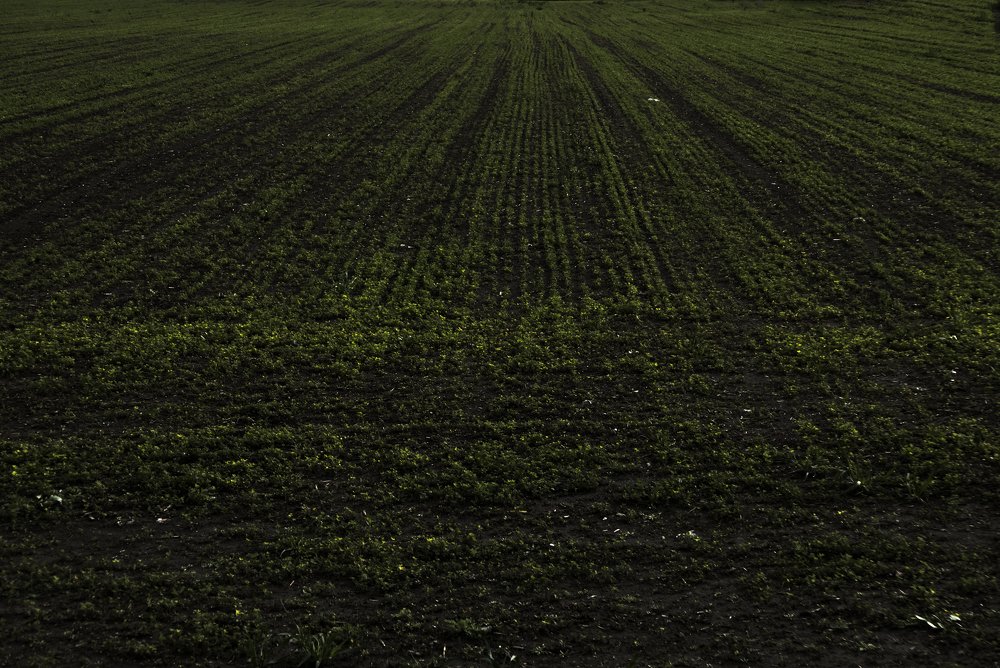 Photograph by Kondylenia Mpousmpoura