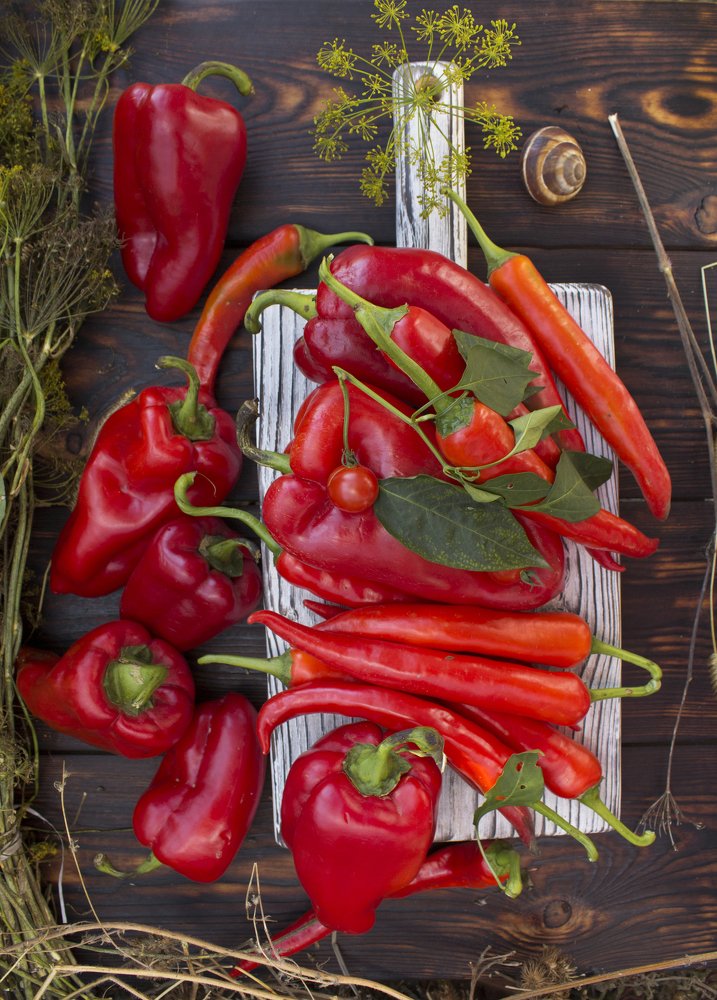 Photograph by Юлия Козаева