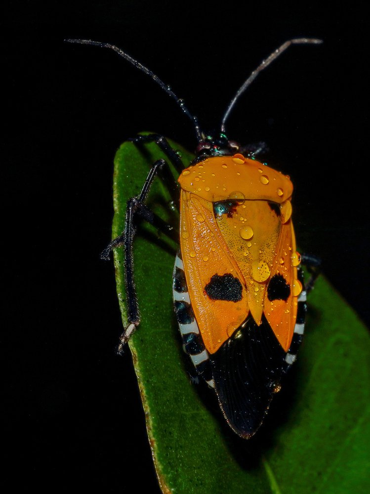 Photograph by Vishal Chandekar