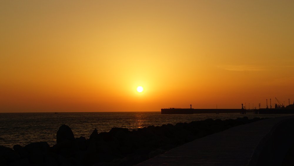 Photograph by ЛЕОНИД БУЛАВИНОВ