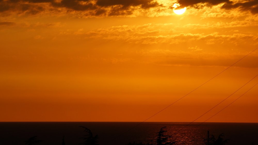 Photograph by ЛЕОНИД БУЛАВИНОВ