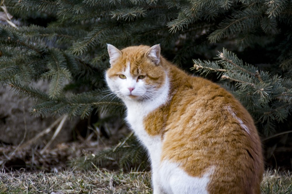 Фотография автора sose