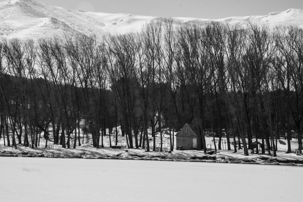 Фотография автора sose