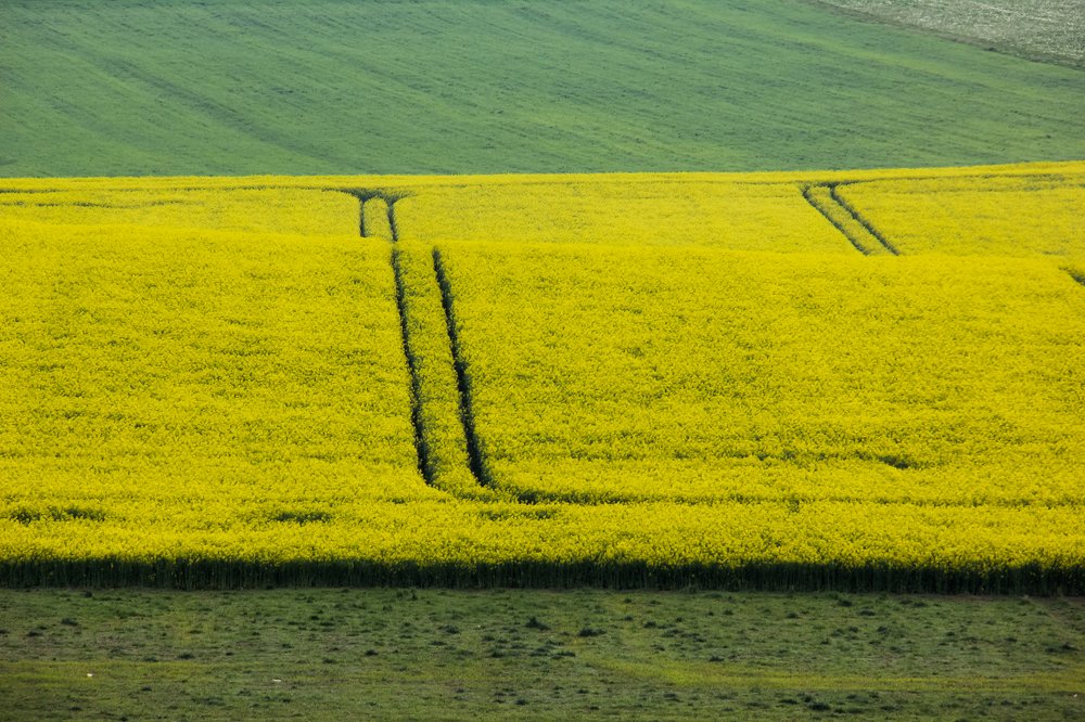 Фотография автора Comșa Bogdan