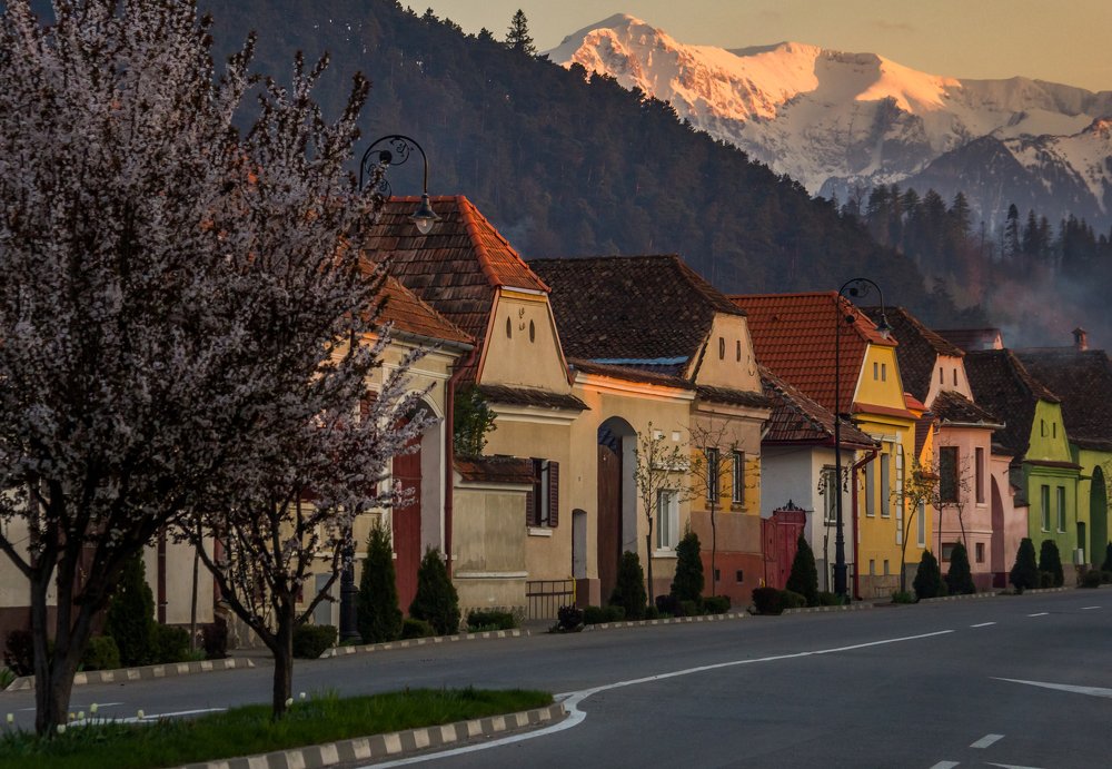 Фотография автора Comșa Bogdan