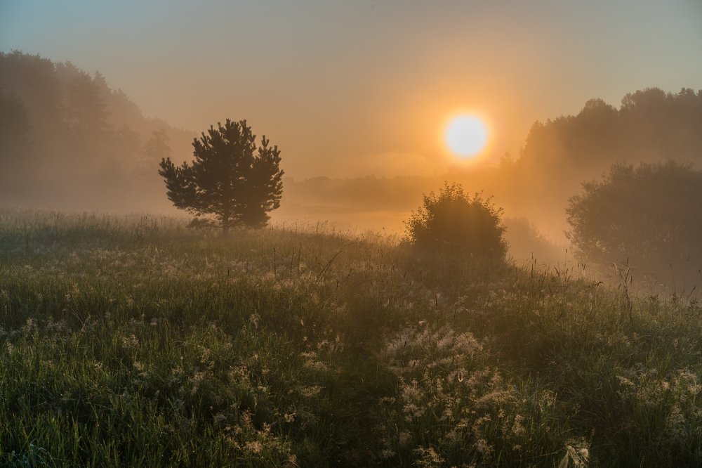 Photograph by Павел Шемякин