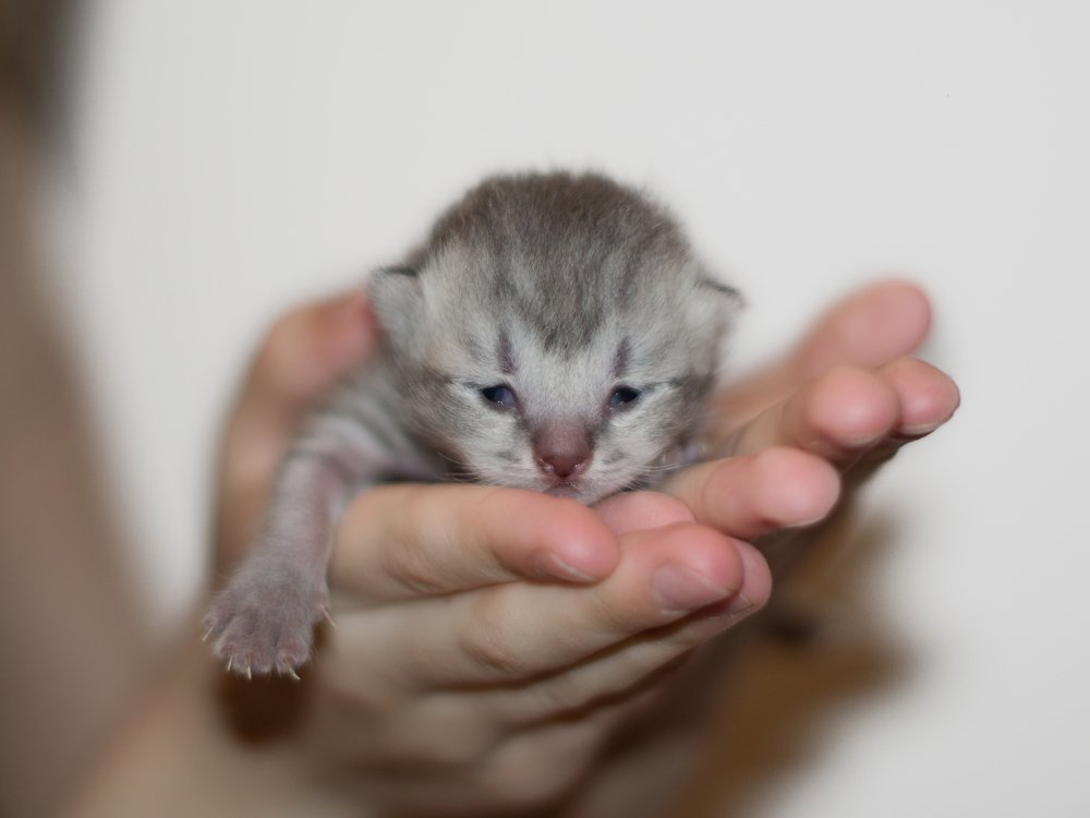 Photograph by Ольга Карелина