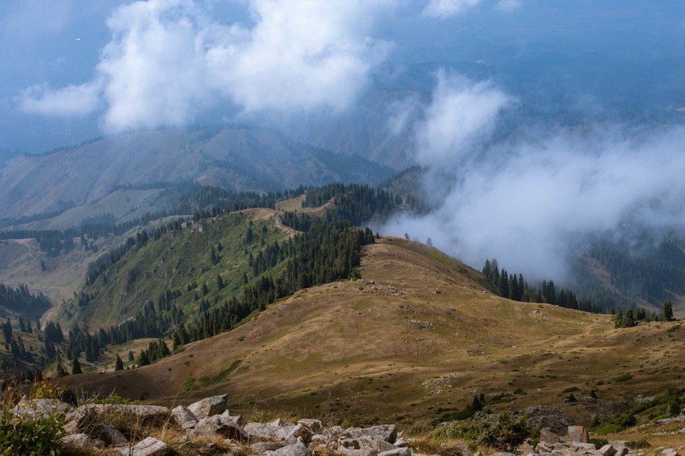 Photograph by Галина Канеева