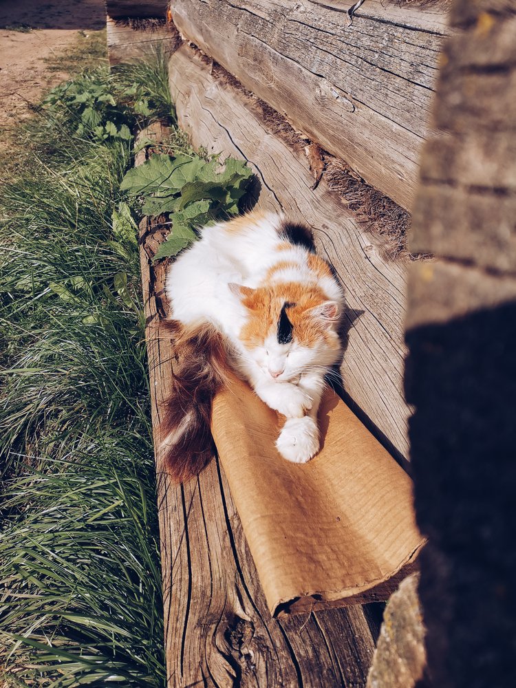 Photograph by Светлана Перминова