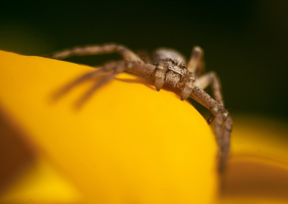 Photograph by Мария Бузыцкая