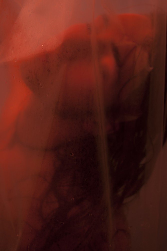 Фотография автора sose