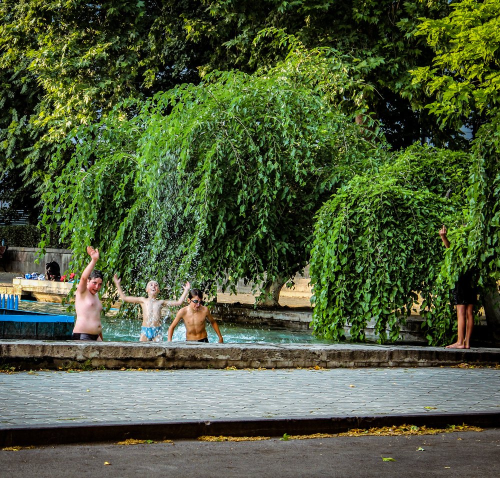 Фотография автора sose