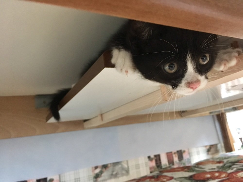 Photograph by Дмитрий Долгов