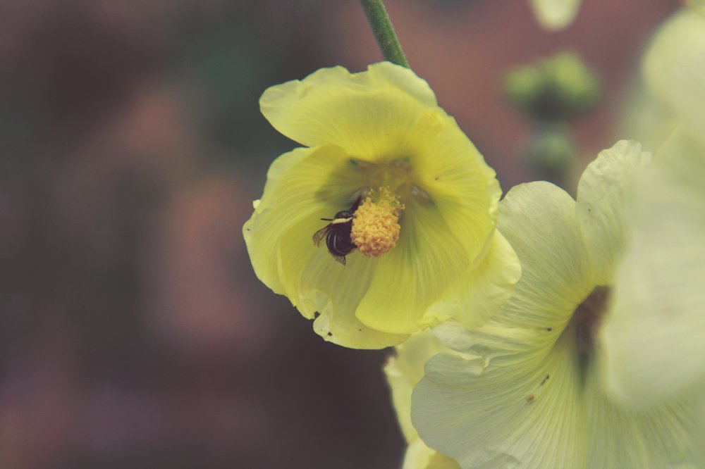 Фотография автора sose