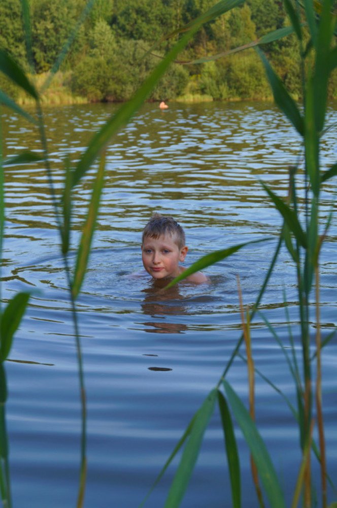 Фотография автора Алина Петрухина