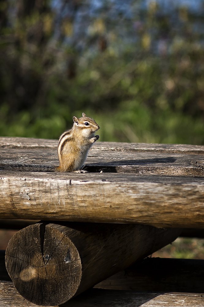 Photograph by Максимова Ольга Васильевна