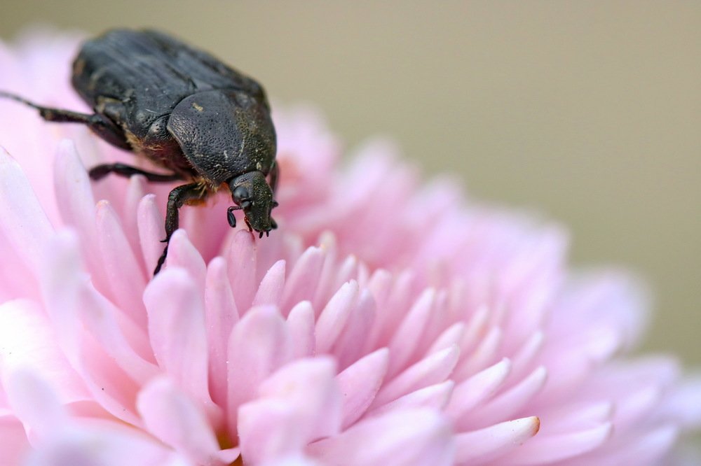 Photograph by Игорь Осипов