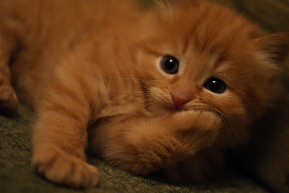 Вот ты сказочник