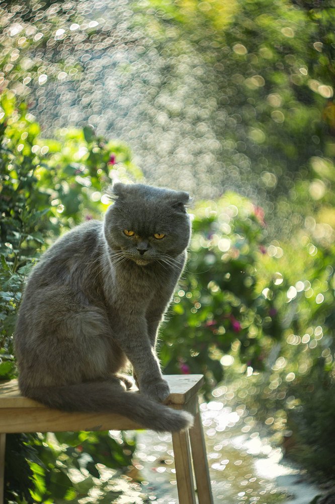 Photograph by Марина Згоник