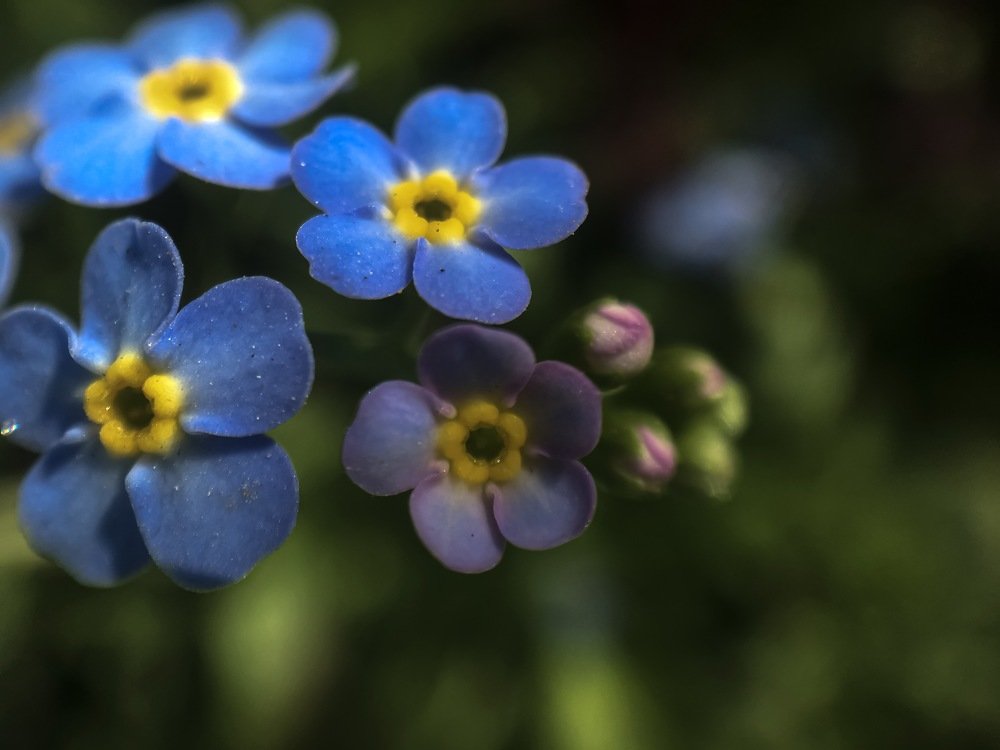 Photograph by Кристина Ковальчук