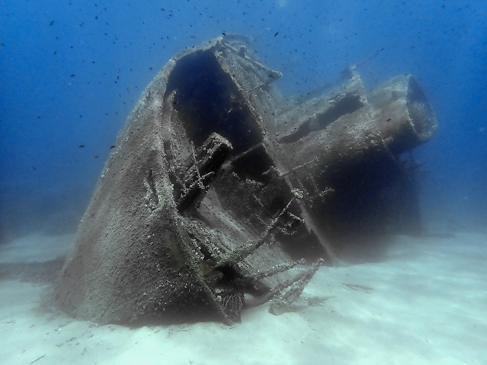 Elviscot Wreck