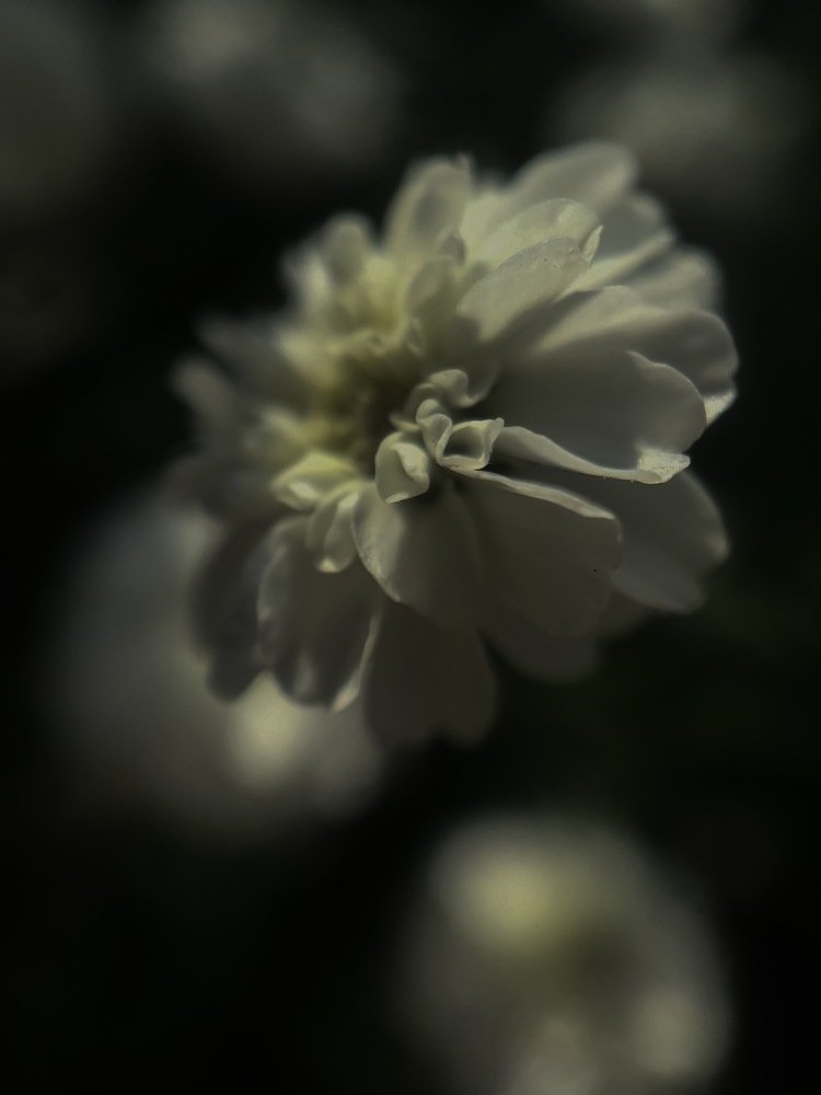 Photograph by Кристина Ковальчук