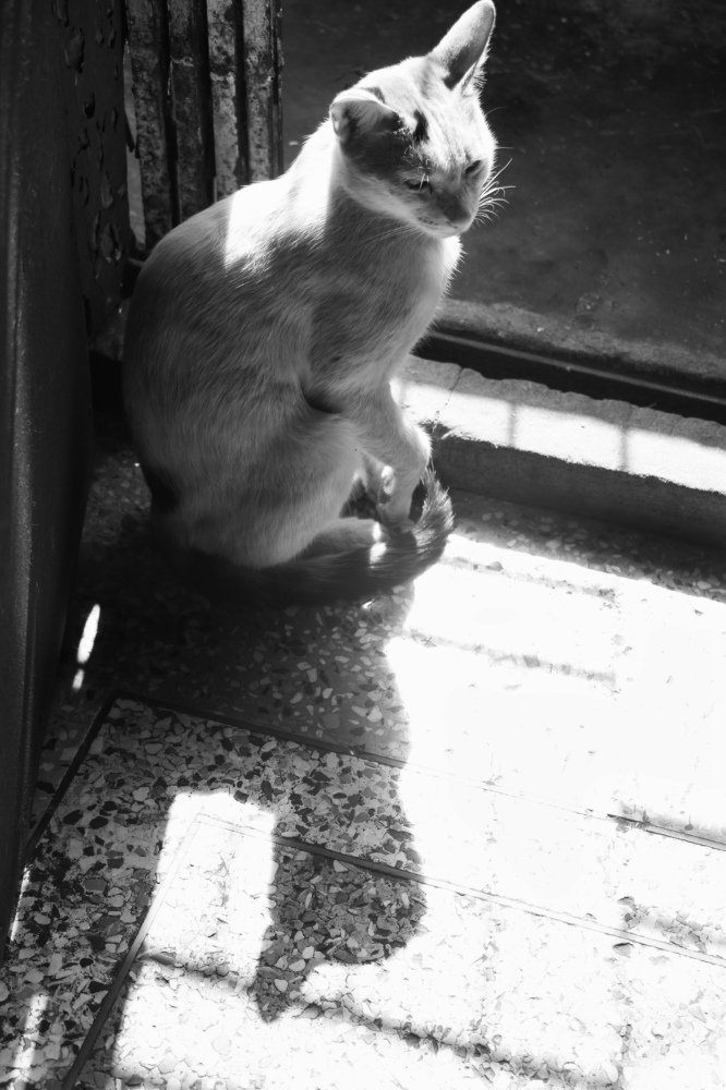 Photograph by FARDIN HOSSAIN FARDIN