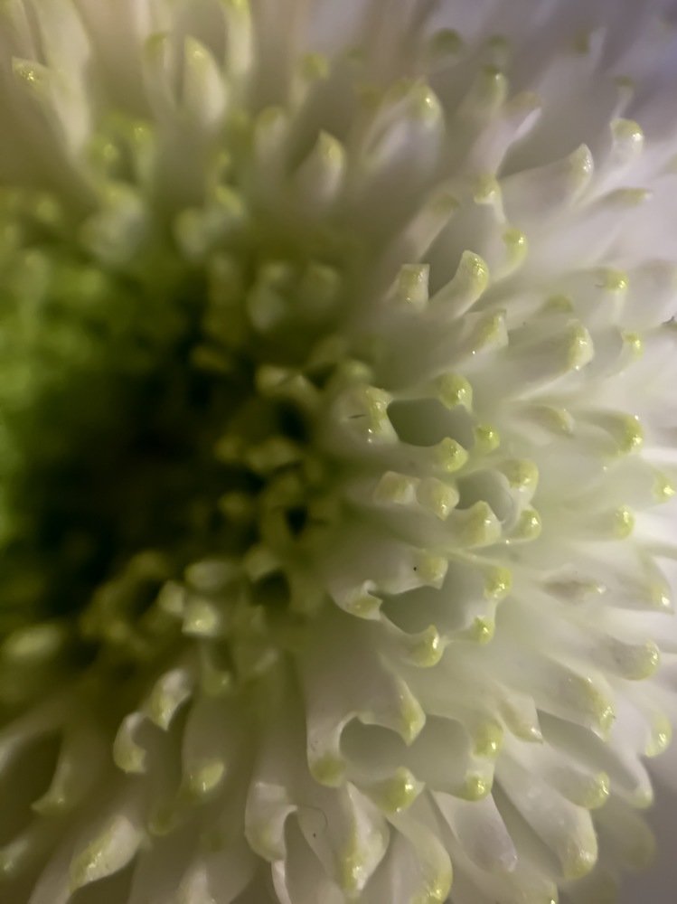 Photograph by Кристина Ковальчук