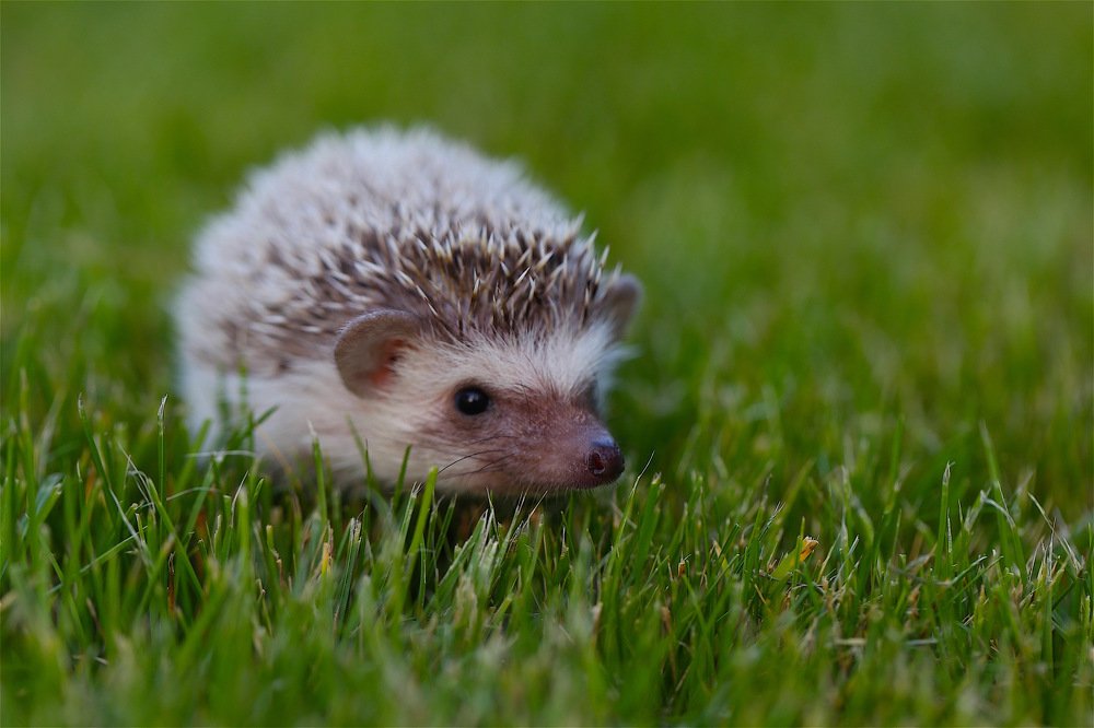 Photograph by Nataliya Mochernyuk