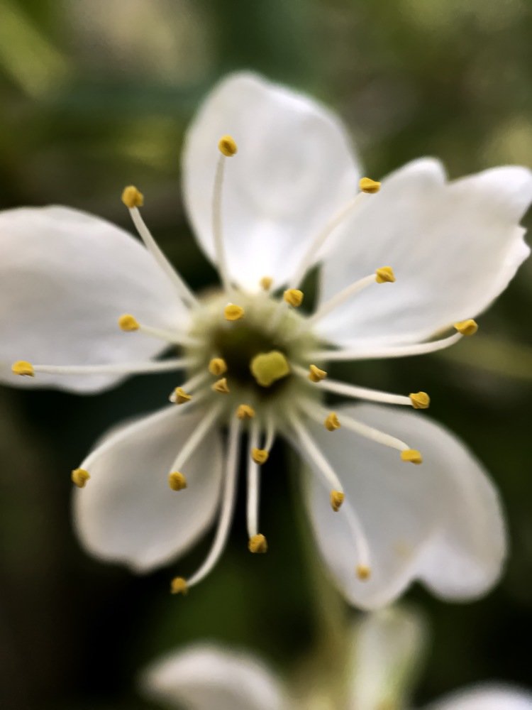 Photograph by Кристина Ковальчук