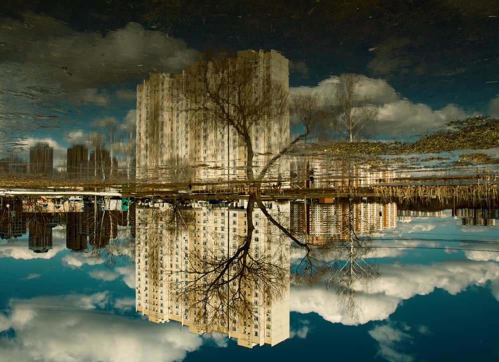 Photograph by Наталья Скарюкина