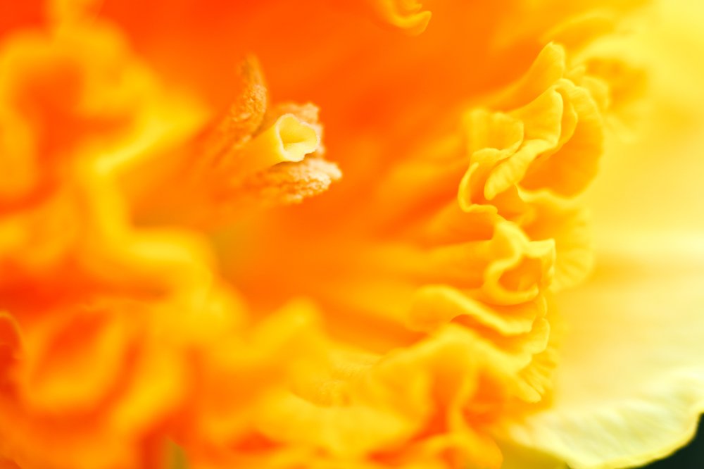 Фотография автора Андрей Вепрынцев