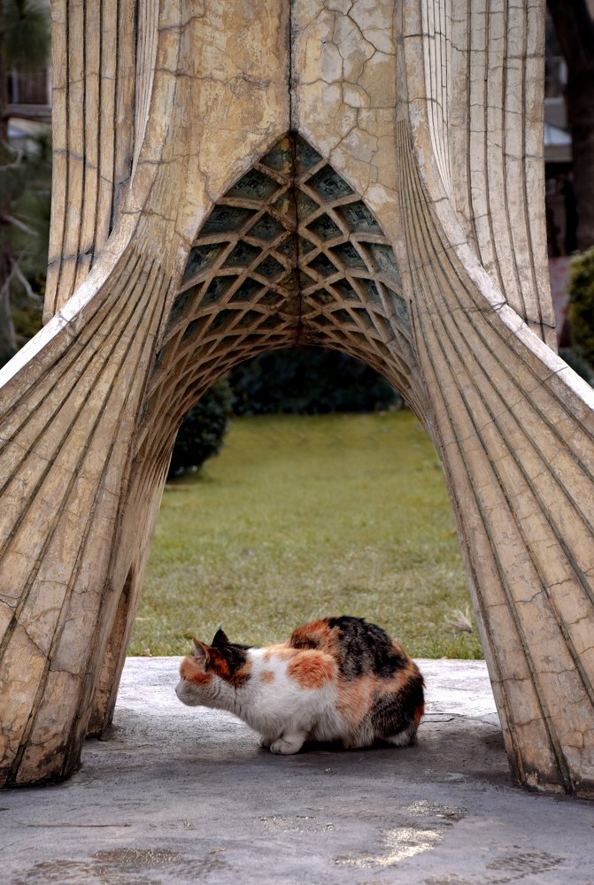 Photograph by Farshad Yazdankhah