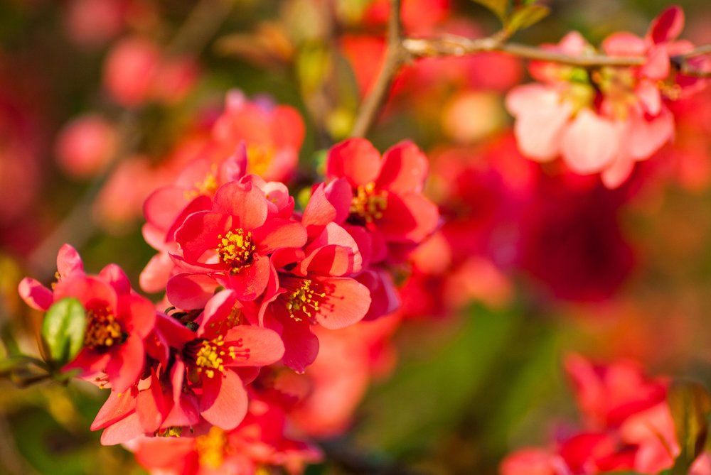 Photograph by Pucs Fongabe