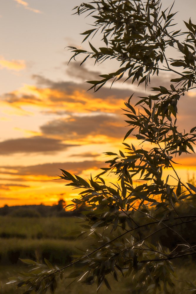 Photograph by Алёна Кутнякова