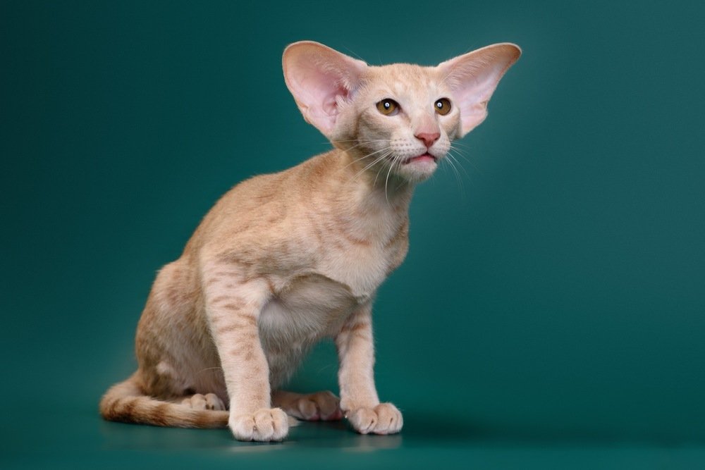 Photograph by Александра