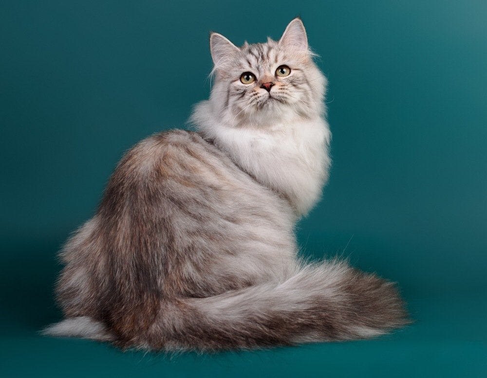 Photograph by Александра