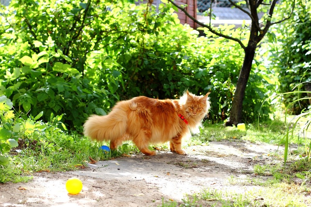 Photograph by Любовь Сорокина