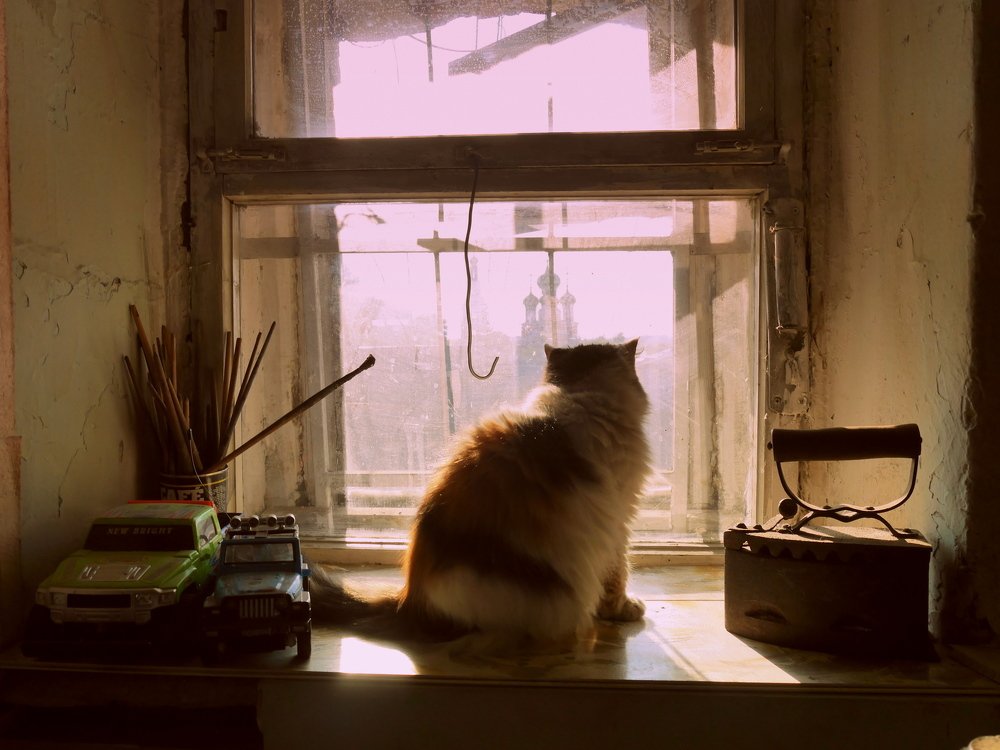 Photograph by Анастасия Егорова