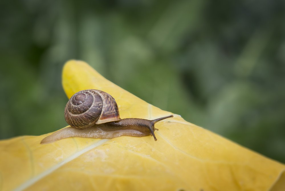 Photograph by Александр