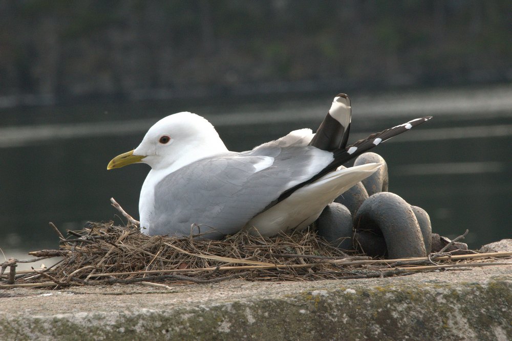 Photograph by Александр