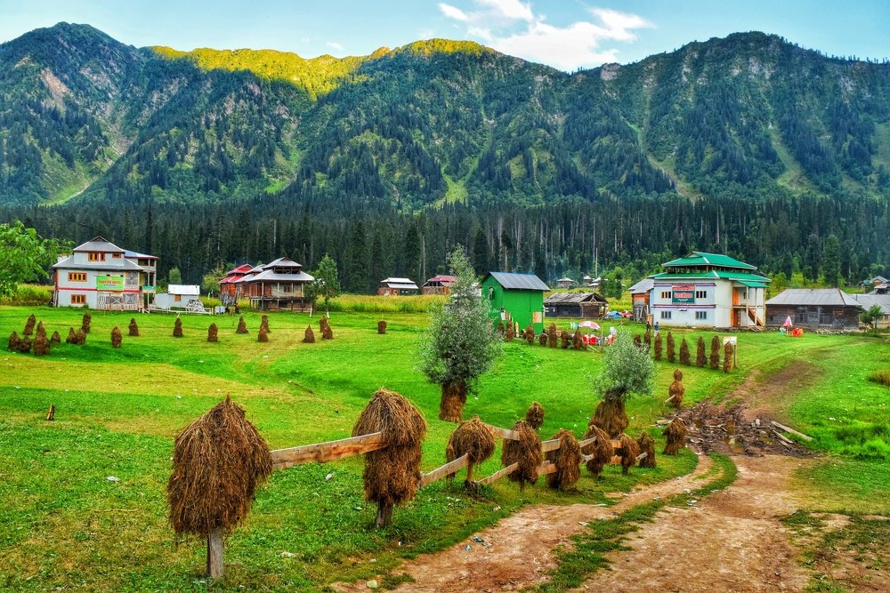 Photograph by Mamoon Masood