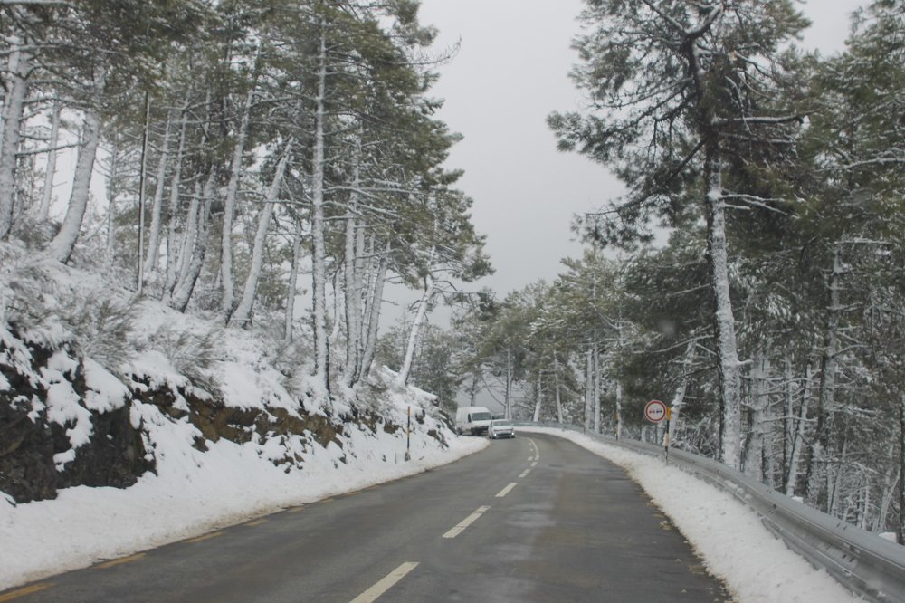 Photograph by Francisco Ferreira