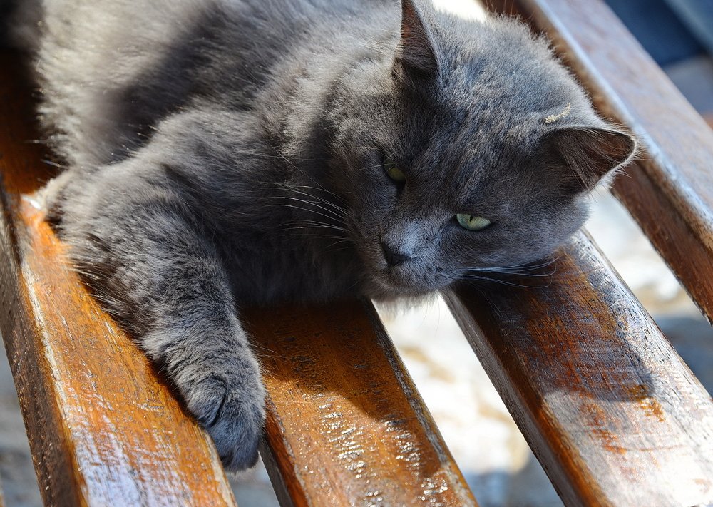 Photograph by Владимир Брагилевский