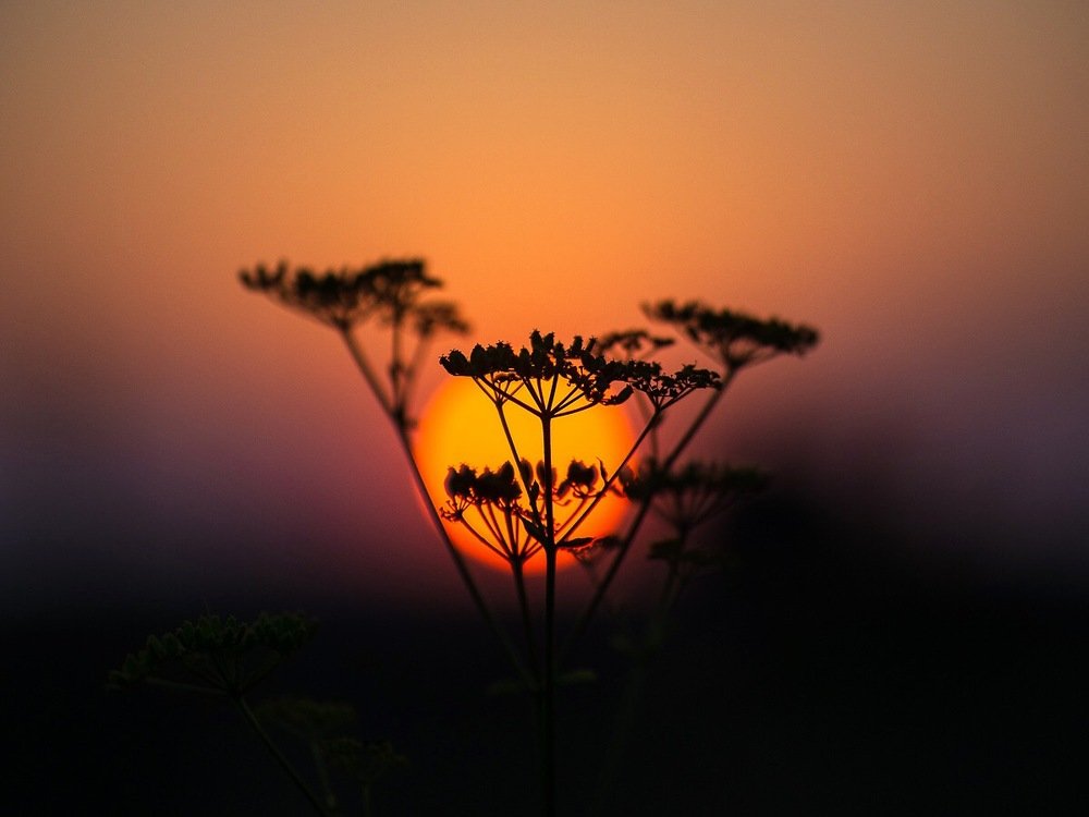 Photograph by Roman Mirismatov