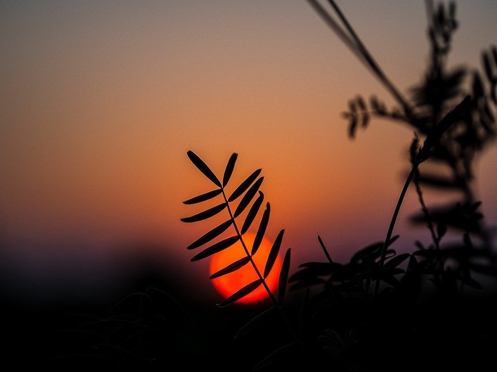 Photograph by Roman Mirismatov